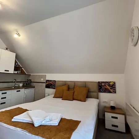 Apartment Pavle Nova Varoš