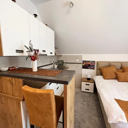 Pavle Apartment *
