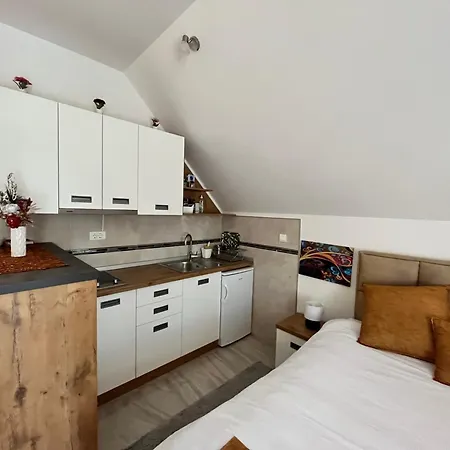Apartment Pavle