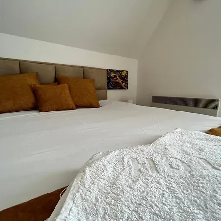 Apartment Pavle