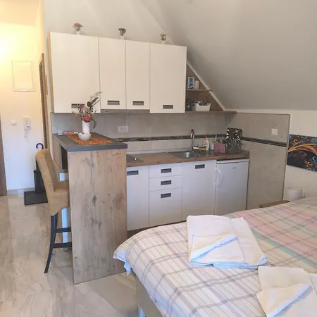 Apartment Pavle *