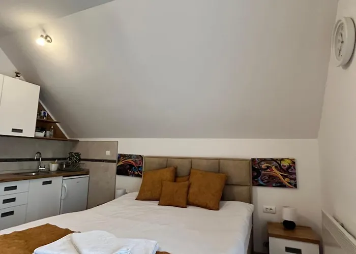 公寓 Pavle Nova Varoš