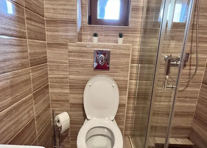 Pavle 公寓 Nova Varoš